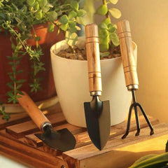 Collection image for: أدوات تنسيق الحدائق