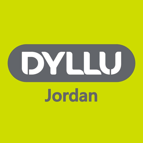 Dyllu