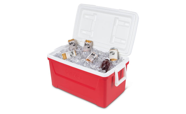 ايس بوكس ايجلو 45 لتر