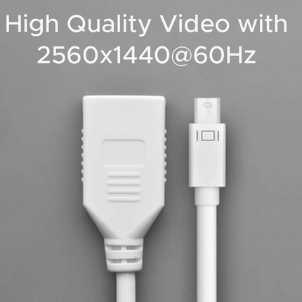 UGREEN Mini DisplayPort Male to DisplayPort Female Adapter | 10445