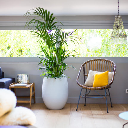 قوار نباتات إيدا  - أبيض 53 لتر 50 * 60 سم