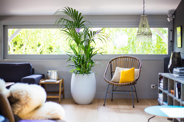 قوار نباتات إيدا  - أبيض 53 لتر 50 * 60 سم