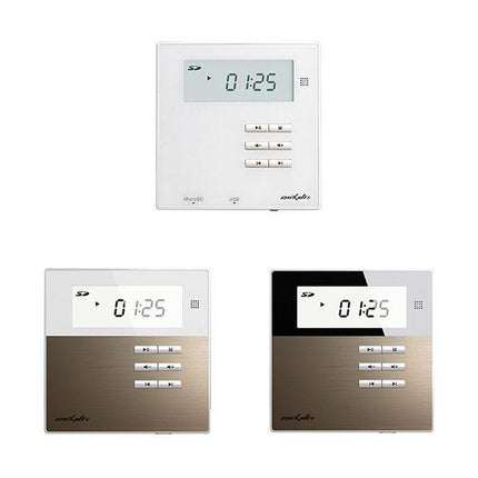 Despa Wall Mount Amplifier Kit with Speakers, supports USB / MP3 / BT / AUX