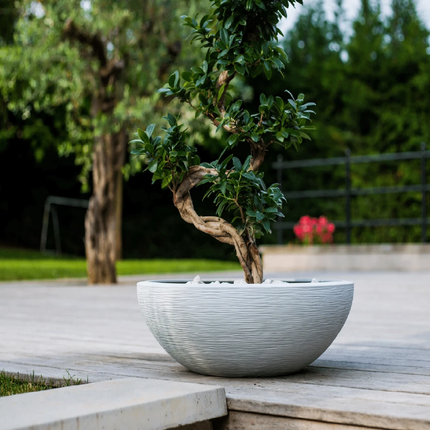 قوار نباتات إيدا 14.9 لتر 40 * 40 * 16.5 سم