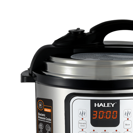 طنجرة ضغط كهربائية للطهي الطعام بقوة 1200 واط من الفولاذ المقاوم للصدأ ماركة HALEY