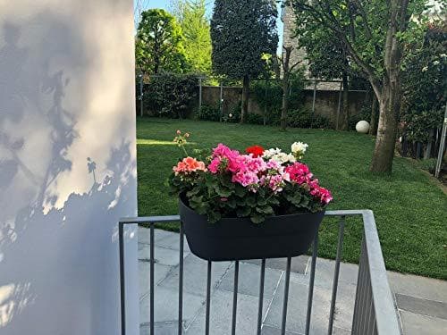 قوار نباتات 19.5 لتر 54.9 * 29 * 20.6 سم