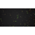 black/green
