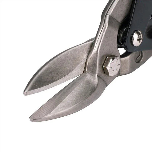 مقص صاج WORKPRO بقطر 250 مم (10 بوصات) | WP214016