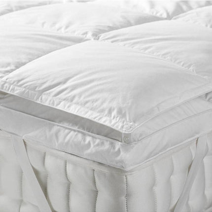 لبادة لحماية المرتبة مجوز كبير من ARMN Primer Down