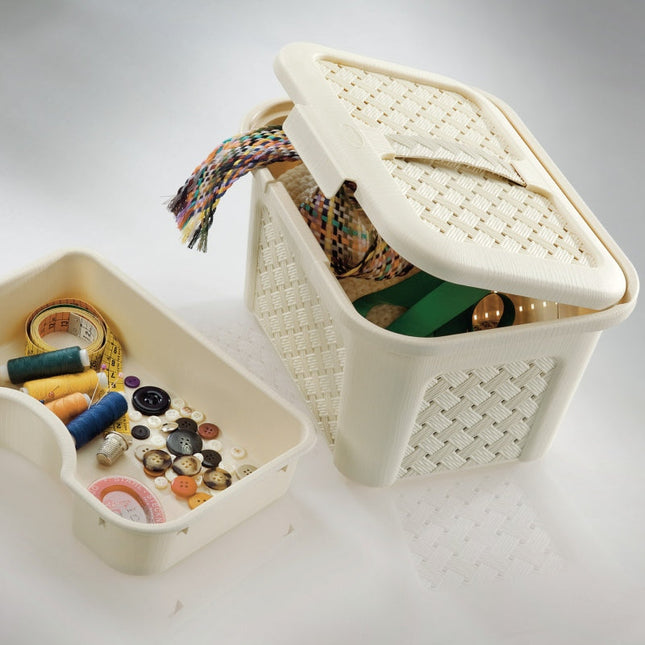 سلة تخزين أريانا