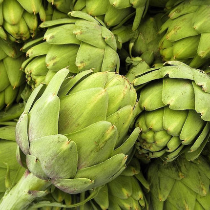 بذور الخرشوف
