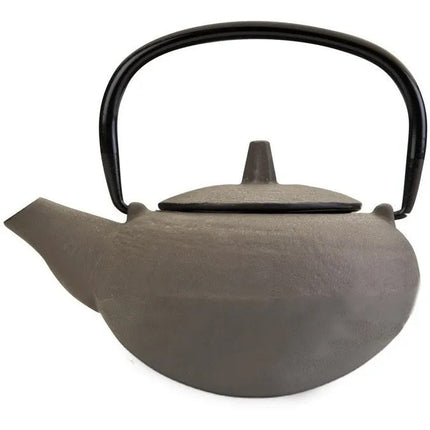 إبريق شاي حديد سعة 0.4 لتر من Ibili Laos