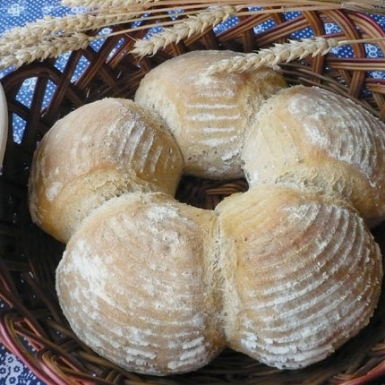 سلة تخمير العجين 28 سم من Ibili Banneton - بيج