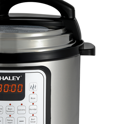 طنجرة ضغط كهربائية للطهي الطعام بقوة 1200 واط من الفولاذ المقاوم للصدأ ماركة HALEY