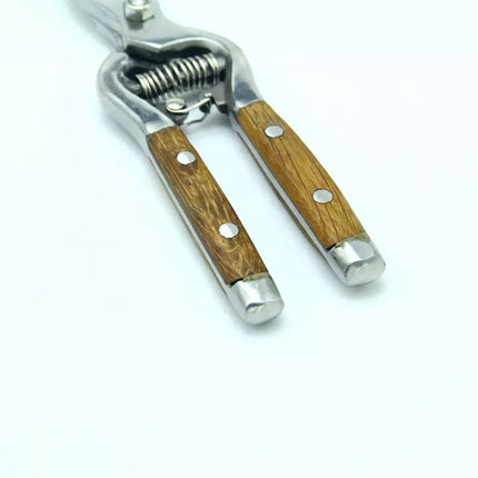 مقص شجر 20 سم