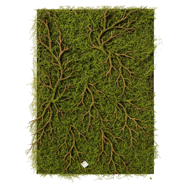 طحالب طبيعية 50*100 سم