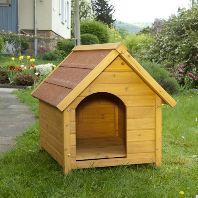 بيت كلب خارجي