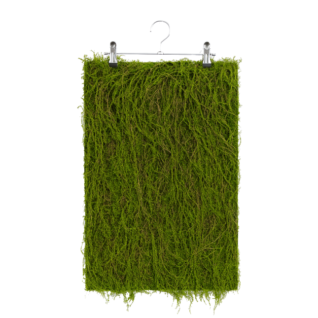 طحالب طبيعية 50*100 سم