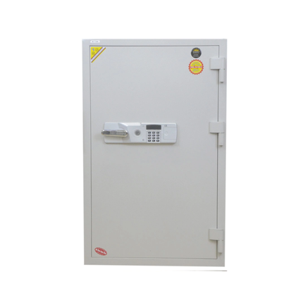 قاصة ديجتال كوري 270 كغم