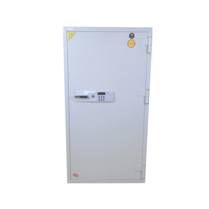 قاصة ديجتال كوري 425 كغم