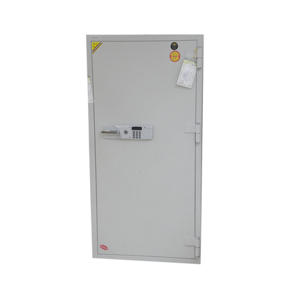 قاصة ديجتال كوري 485 كغم