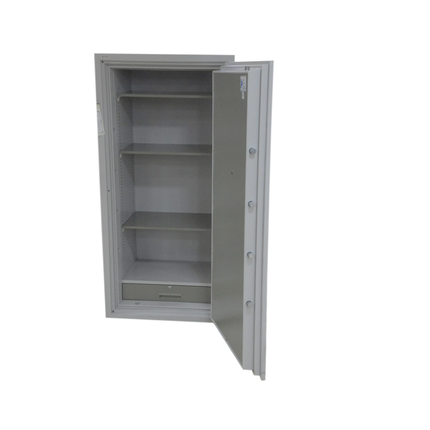 قاصة ديجتال كوري 485 كغم