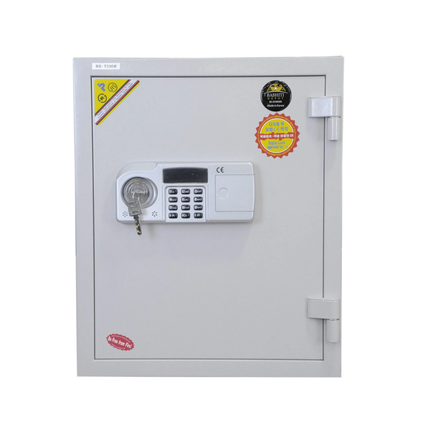 قاصة ديجتال كوري 63 كغم