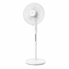 Collection image for: Fan