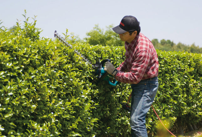 مقص تشذيب الأسيجة الكهربائية 670 واط من ماكيتا Makita