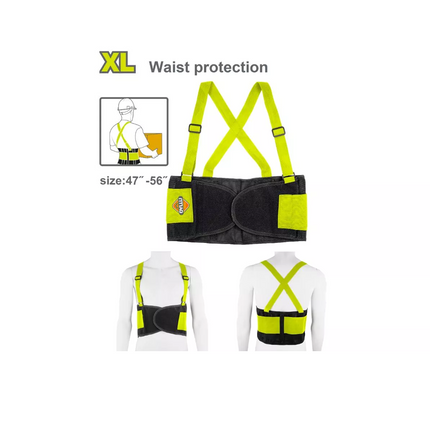 حزام شد ظهر ديلو