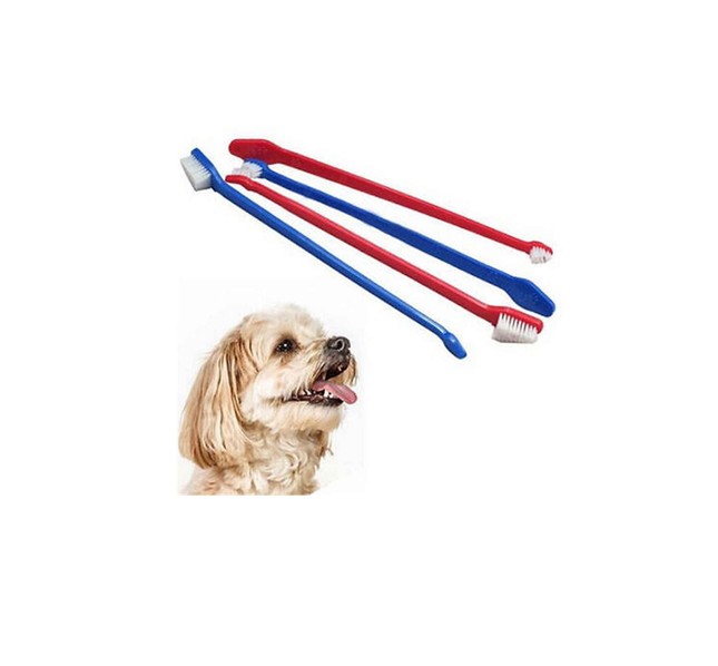 Dog Toothbrush فرشاة اسنان للكلاب - Mega Hardware