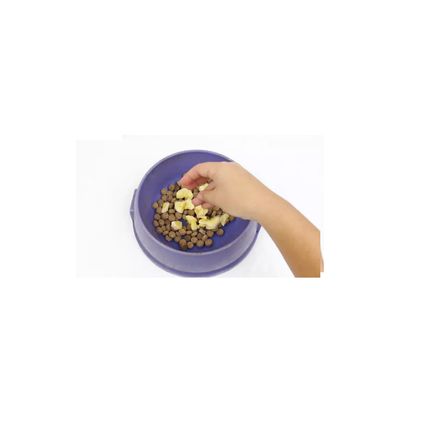 Dog Food Bowl صحن طعام للكلاب - Mega Hardware