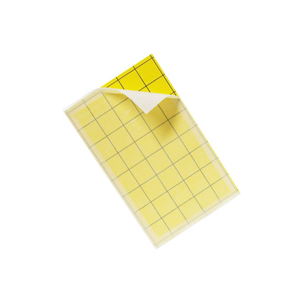 لاصق قاتلة الحشرات / 10 قطع