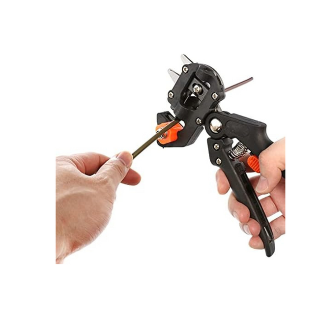 مقص تطعيم شجر