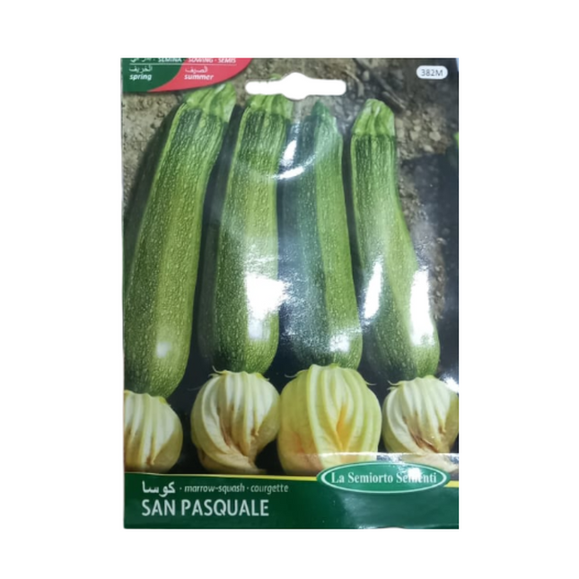 بذور الكوسة