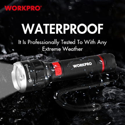 WorkPro 750 Lumens Rechargeable LED Work Light (WP351010WE)