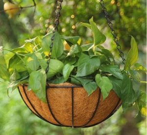 حامل قوار نباتات تعليق للحديقة