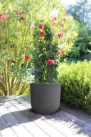 قوار نباتات إيدا دائري -  رمادي غامق 67 لتر 50*48.5*46.2 سم