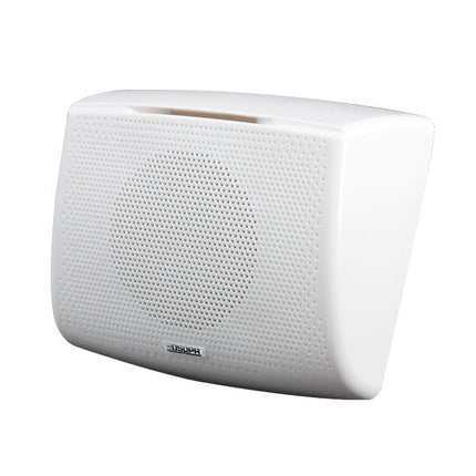 10W Wall-Mount Speaker | DSP117