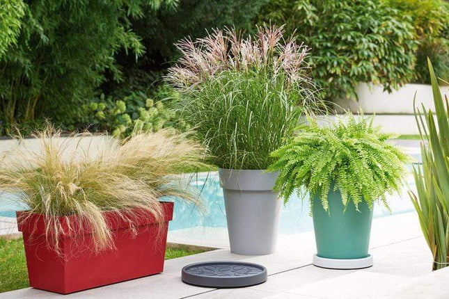 EDA Planters, Pots, & Outdoor Storage Roller Saucer 35 cm صحن قوار 35 سم