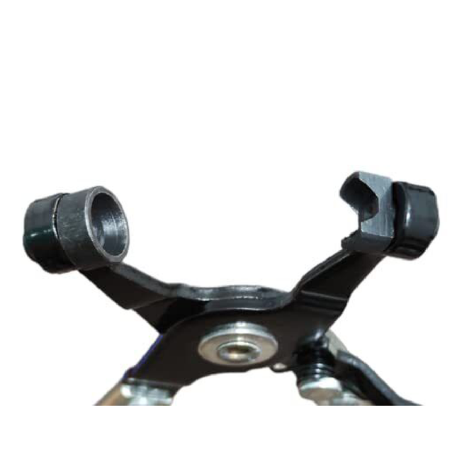 زرادية مرابط