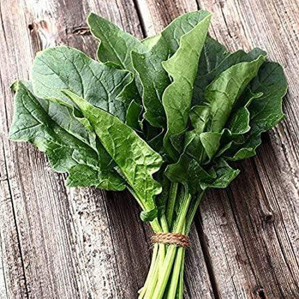 Garden Center Seeds Spinach Seeds