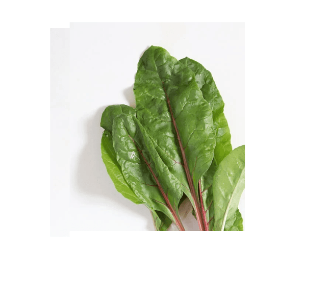 Garden Center Seeds Swiss Chard Seeds