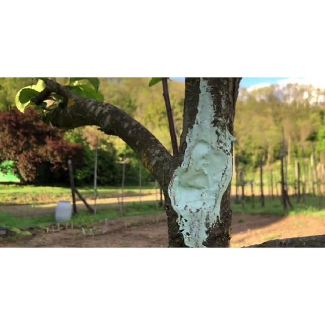 دهان شجر 200 مل