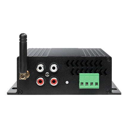 Despa 40W 20+20 Amplifier | Mini40II