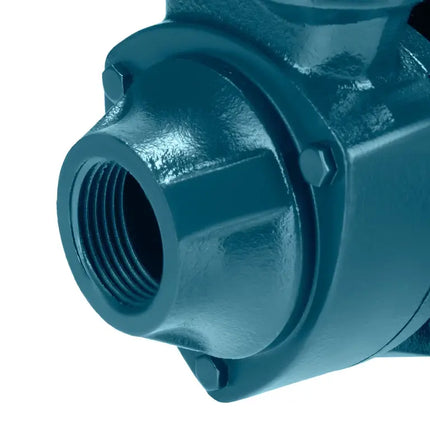 RONIX 1/2 HP Water Pump